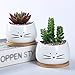 Koolkatkoo 3.2 Inch Cute Cat Ceramic Succulent Planter Pots with Removable Saucer Unique Cactus Planters Porcelain Decorative Flower Pot for Cat Lovers Set of 3 White
