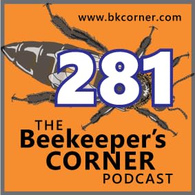 Page de couverture de BKCorner Episode 281 - May I Api