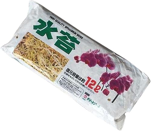 ZGHQHCDRH12L ミズゴケコケ胡蝶蘭有機肥料乾燥地衣類庭ミズゴケ花胡蝶蘭蘭土 圧縮水苔 オリジナル 天然水ごけ超圧縮水苔 培養水苔 圧縮型 オリジナル 天然水ごけ 水耕用肥料 育苗ブロック 水でふくらむ 植物・花・野菜を育てる 栄養物質 植木苗 胡