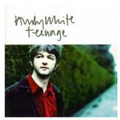 Teenage [Audio CD] White, Andy