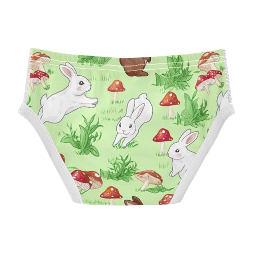 CHIFIGNO Cute Rabbits Mushrooms Green Underwear for Boys Soft Cotton Briefs Kids Boys Printed Brief Underwear2