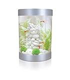 biUbe Aquarium with Halogen Light, Silver, 9 Gallons