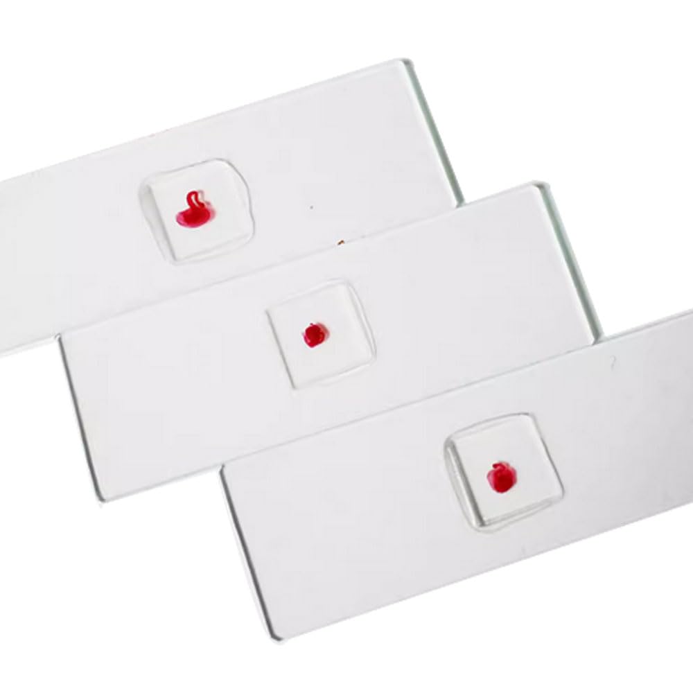 Taenia Solium Scolex w.m. Parasitology Prepared Microscope Slides