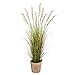 6ft. Grass Artificial Plant in Farmhouse Planter