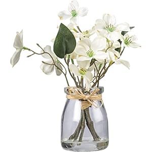 Vase - Dogwood Blossom Vase Dogwood Blossom