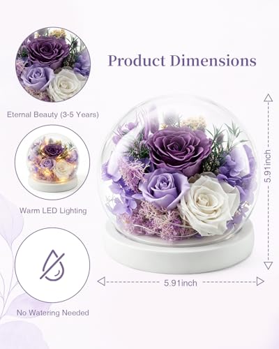Nysunten Forever Preserved Flowers Decoration in Clear Glass Dome, Long Lasting Flowers Gift for Her, Forever Rose Gift for Mother’s Day Valentine’s Day (Purple) — view 5