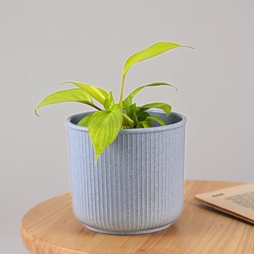 Image of Eha Earth Friendly Statement Pot 4 Inch Pots and Planters Set of 1 | Table Top Planters| Bamboo Based, UV Protected | Planter for Indoor & Balcony Window Flower Pots | Azure