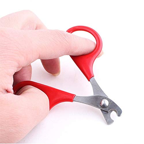 Jieqing Tagliaunghie Gatto Taglia Unghie per Cane