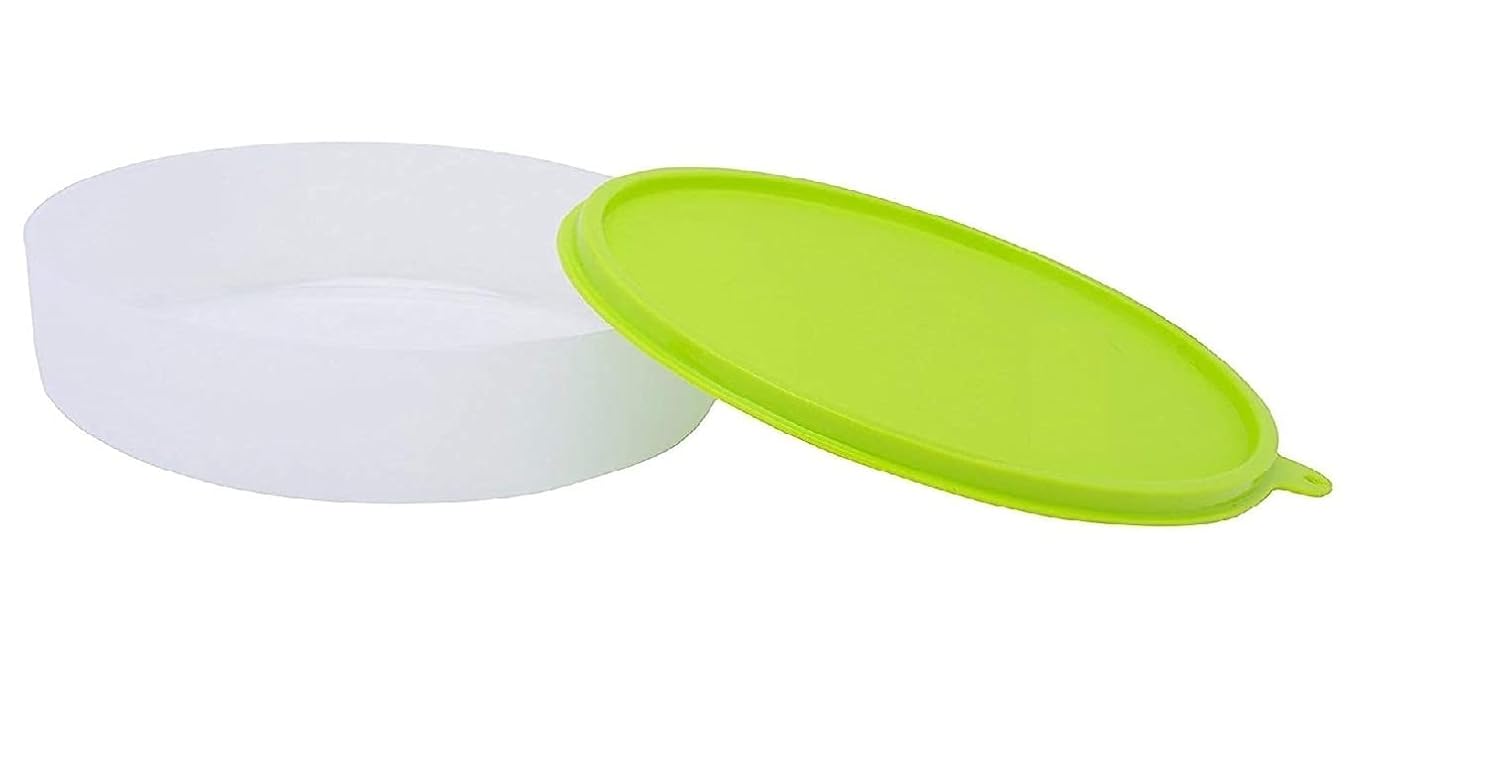 Buy LIPSA ENTERPRISE Khakhra Papad Roti Storage Container For Dining ...