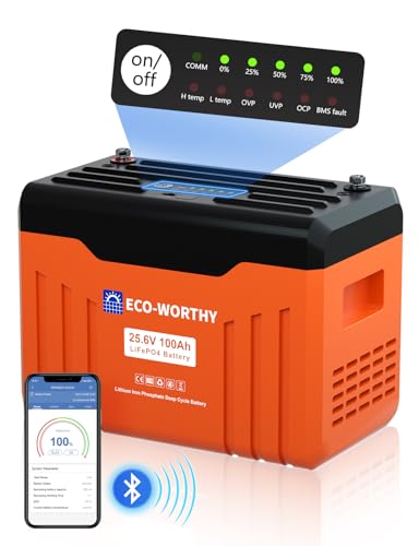 ECO-WORTHY 24V 100AH Bluetooth Lithium Battery