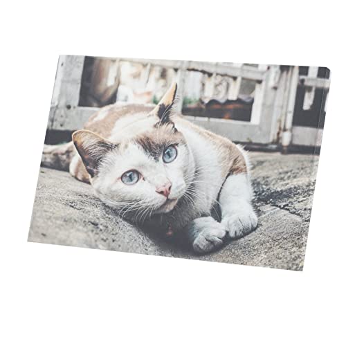 Toile imprimée chat calico aux yeux bleus grand tableau mural 90x60cm