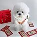Lion Dance Dog Costume, 2026 New Year Dog Lion Dance Coat, Spring Festival Pet Costume, Winter Cat Warm Clothes for Small Medium Dogs, Schnauzers and Small Bichon Frises