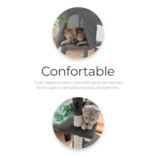 Raganet, Árbol Trepador y Rascador para Gatos, Torre de Actividades de Varios Niveles, Castillo con Escaleras, Hamaca, Cubiertas de Felpa, Seguro y Duradero de 140cm Alto X 50cm Largo (Gris) - Imagen 6