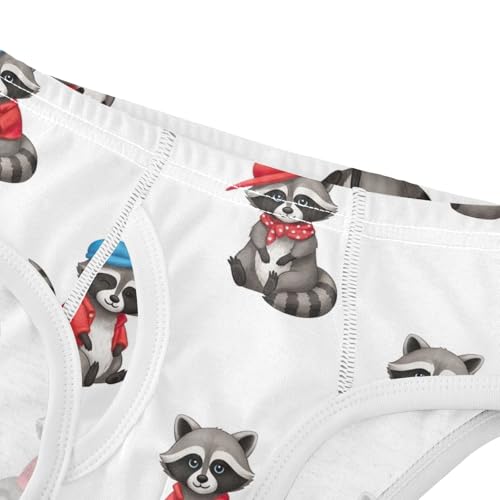 CHIFIGNO Underwear for Boys Cute Raccoons White Cotton Boys Briefs Soft Breathable Brief Underwear4