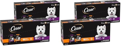 Image of Cesar Filets in Gravy Wet Dog Food Filet Mignon Flavor and Rotisserie Chicken Flavor Variety Pack,Wet Food for Dogs,1.76 oz. Mini-Pouches,20 Count (Pack of 4)