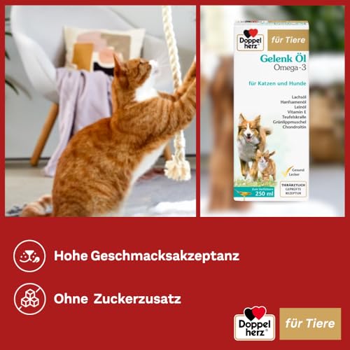 Doppelherz-Gelenk-Oel-fuer-Katzen-und-Hunde-Mit-essentiellen-Omega-3-Fettsaeuren-Chondroitin-250ml - sparfuchs24.io – Top Angebote, Tests & Preisvergleiche