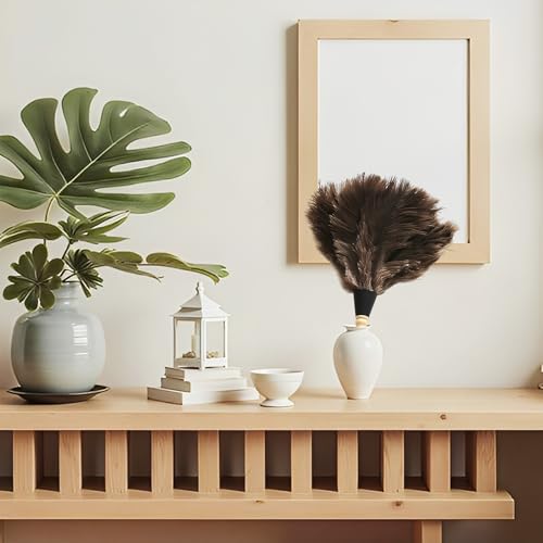 Feather Dusters, Ostrich Duster Cleaning Brush Tool with Wooden Handle for Home&Garden Furniture Dusting,32cm