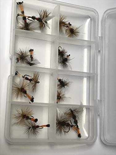 BestCity Fly Fishing Dry Royal Coachman - Set di