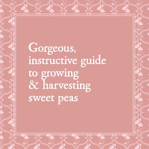 Sweet Pea School: Growing & Arranging the Garden's Most Romantic Blooms - Image 2