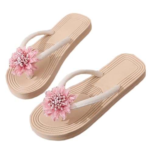 [XYJP] T_ tbg T_ 24.0cm Vv fB[X r[` t@bV r n y Xbp x[W ɂȂ ~ gOT_ 傫TCY ₷ C ԉ Ղ