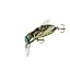 Horse Fly