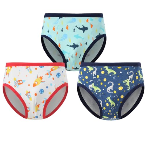 Boys Briefs Toddler Underwear,12 Packs4