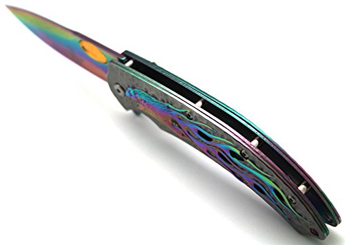 Snake Eye Tactical Heavy Duty Fantasy Eagle Designed Spring Assisted Folding Pocket Knife Outdoors Hunting Camping Fishing (Rainbow) #TOP4