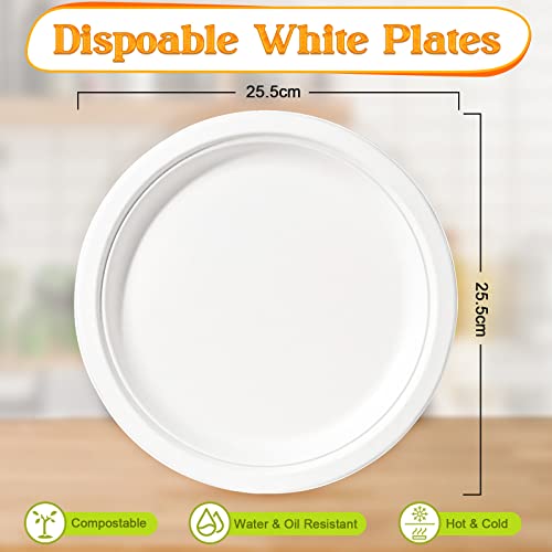 greensight 150 Pack Disposable Paper Plates 10 inch, Eco-Friendly - Image 2
