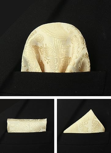 Image of Paisley Floral Mens Tie Formal Necktie Pocket Squares Ties Clips Cufflinks Classic for Men Set