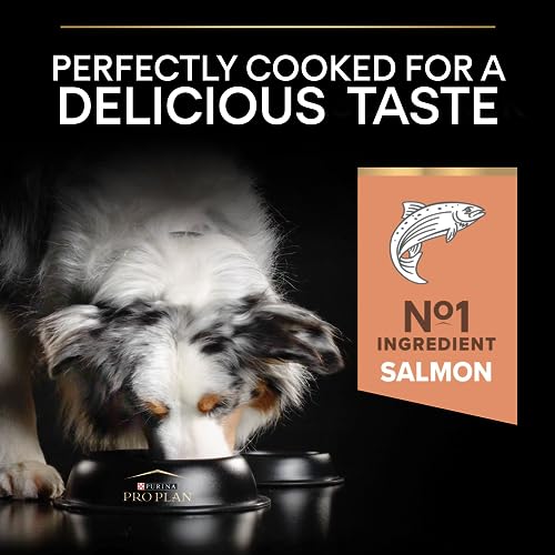 Pro Plan Medium Adult Sensitive Skin, Hundefutter trocken, reich an Lachs, 1er Pack (1 x 14 kg)