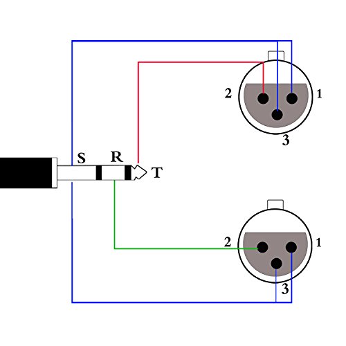 Tisino Dual Xlr To 3.5Mm Stereo Mic Cable, 2 Xlr Female To 1/8 Inch Mini Jack Y-Splitter Breakout Lead Microphone Cord - 10 Feet #TOP6