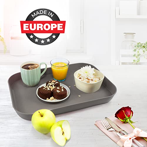 Mueller Reversible Serving Tray, European Made Platter, 2In1, Rectangular Non-Slip Tray, Shatter-Proof, Non-Toxic, For Coffee Table, Kitchen, Outdoors, Dishwasher Safe, Gray #TOP2