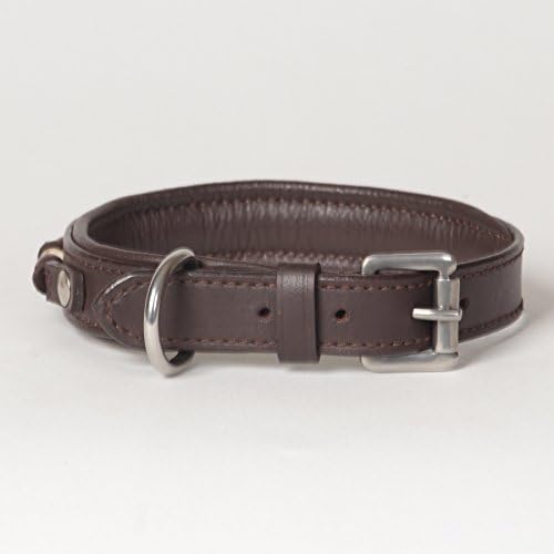 Small Genuine Leather Padded Beaded Decorated Dakota Dog Collar, Fits 12" - 14" Neck Size