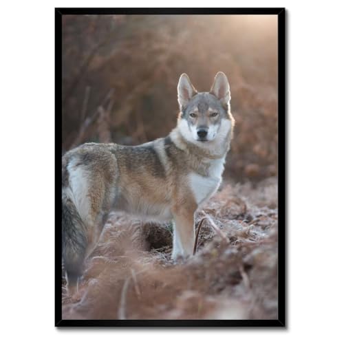 Poster loup 50 x 70 cm avec cadre blanc | Décoration murale salon moderne et cosy