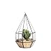 NCYP Six-Surface Diamond Shape Geometric Glass Terrarium Tabletop Succulent Plant Freestanding Hanging Flowerpot