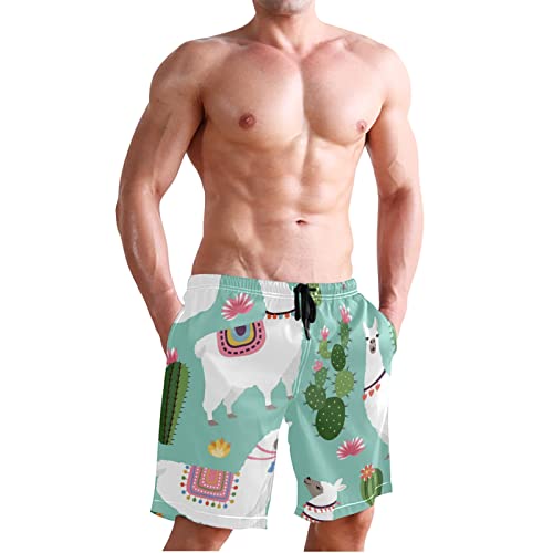 Linomo Pantaloncini da bagno da uomo Alpaca Cactus...
