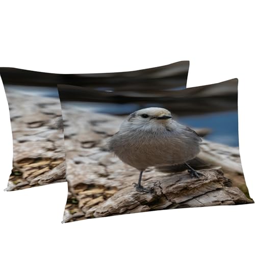 Housse couette en microfibre douce 200x200 avec zip motif oiseau mésange - 8
