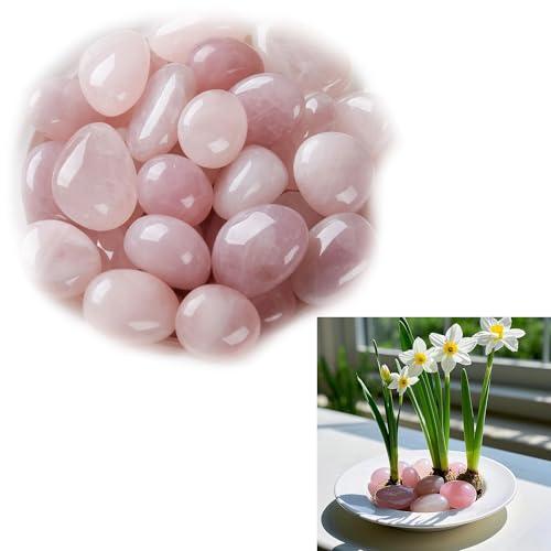 Syiyunran Piedra Cuarzo Rosa Set Agua Piedras Cristal De Roca - Rosa, 100 Gramos, Turmalina Terapia, Puede ser Utilizado Como Fuente para Estanques, Acuarios, Jardineras Otros Paisajes