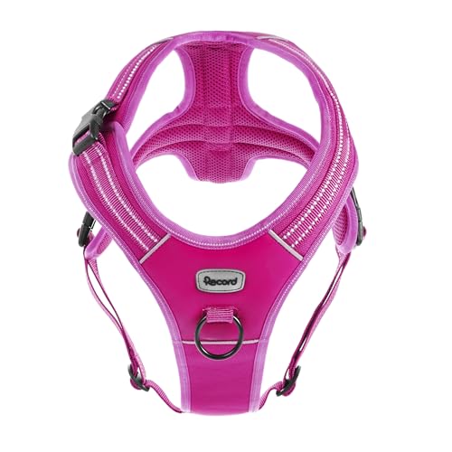Record Uprząż dla psa Action Alpi, kolor fuksja, rozmiar S, materiał: pleciony nylon z odblaskowymi paskami 3M ScotchLite, obwód 48-57 cm