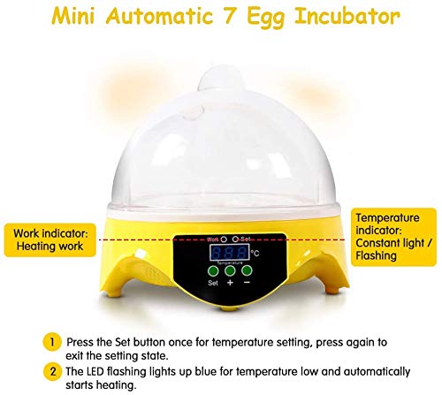 WXHN 7 Eier Digital Inkubator, Mini Automatische Hühnerente Gans Vögel Brutmaschine, Sichtbar entworfene automatische… – Bild 3