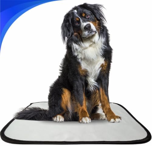 Kit 3 tapete higiênico lavável para cachorro, GG, 100 x90cm, sani...