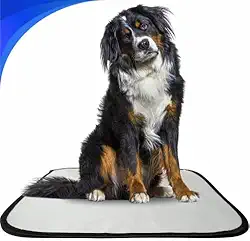 Kit 3 tapete higiênico lavável para cachorro, GG, 100 x90cm, sanitário pets , reutilizável,