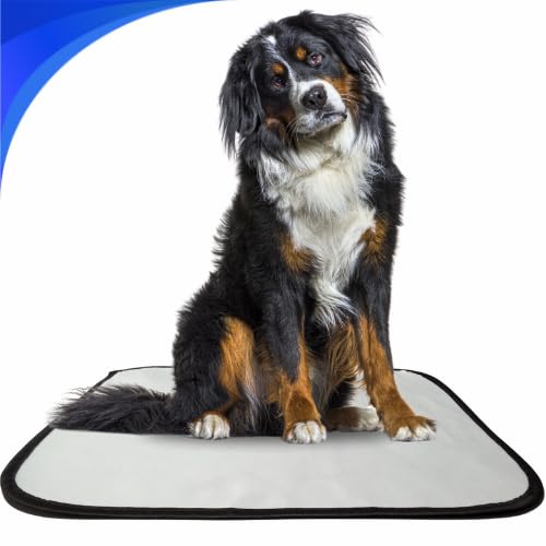 Kit 3 tapete higiênico lavável para cachorro, GG, 100 x90cm, sani...