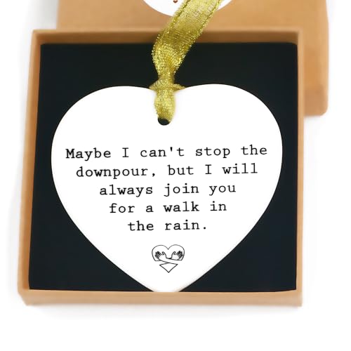 PEALICIOUS Appreciation Gifts Coworker Gifts, Friendship Ornaments for Women Friends Plaque as Bestie Long Distance Ornament