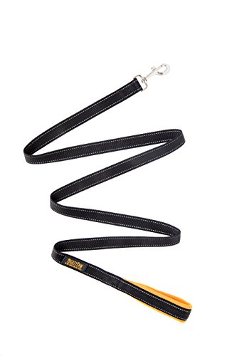 Mighty Paw Reflective Dog Leash - 6 Feet, Premium Quality Dog Leash With Neoprene Padded Handles (Black/Orange) #TOP1