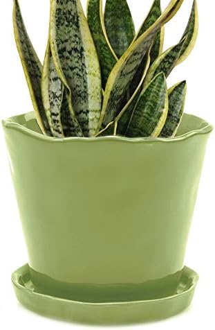CHIVE ‘Tika’ Ceramic Planter Pot — Large 8" Succulent Pots for In...