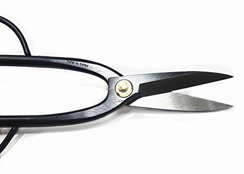 Tijeras Ashinaga para Bonsái de Asa Larga Profesionales miniatura 4