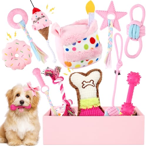 RoundFunny 11 Pcs Dog Birthday Toy Dog Birthday Cake Puppy Girl Boy Squeak Toys Interactive Puppy Gift with Box for Small Medium Size(Pink)