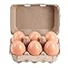 Half Dozen Vintage Egg Cartons 25 Pack, Blank Natural Pulp 6 Count Carton for Chicken Eggs Reusable, Storage Tray Strong for Holds Up to Six 6 Egg Cardboard Paper Holder Container for Refrigerator
