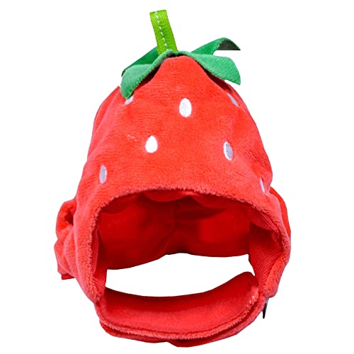 Sombrero disfraz frutas para perros y gatos